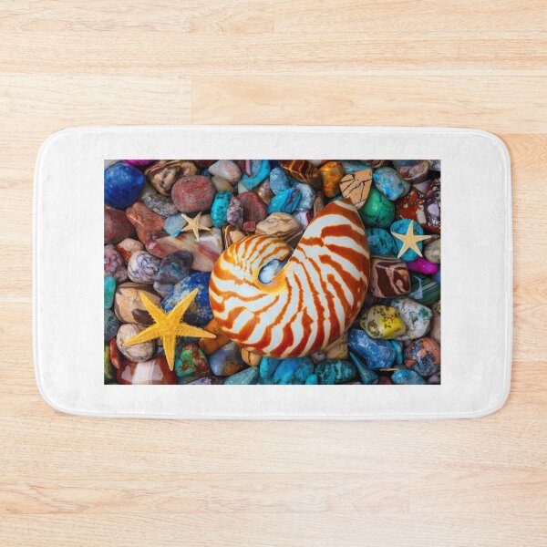 Item preview, Nautilus On Polished Colorful Stones designed and sold by Garry Gay.