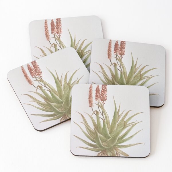 Item preview, Aloe Ferox in Bloom designed and sold by Charlene Rudman.