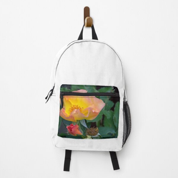 Item preview, Morden Sunrise Rose designed and sold by alanathrower.
