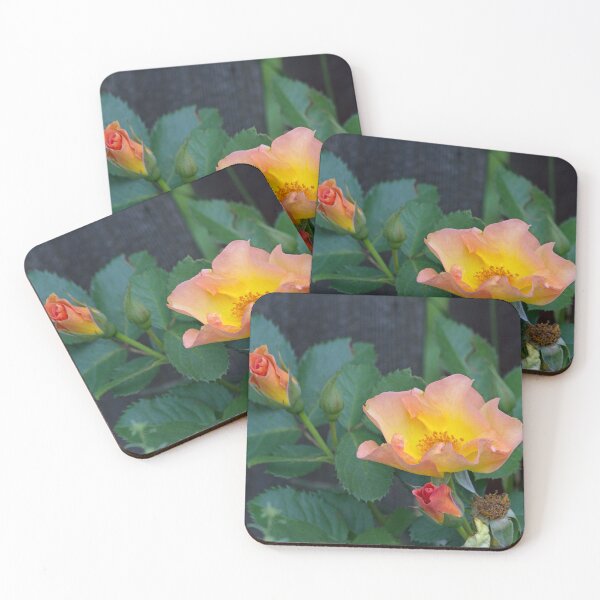 Item preview, Morden Sunrise Rose designed and sold by alanathrower.