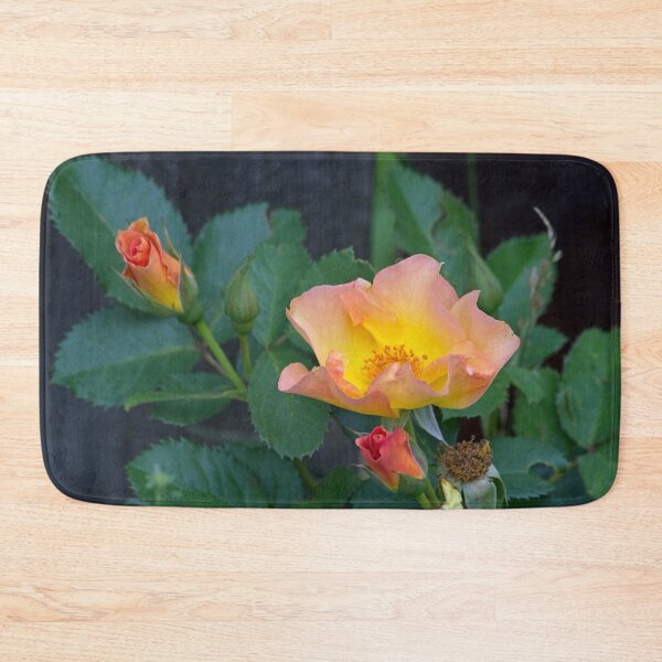 Item preview, Morden Sunrise Rose designed and sold by alanathrower.