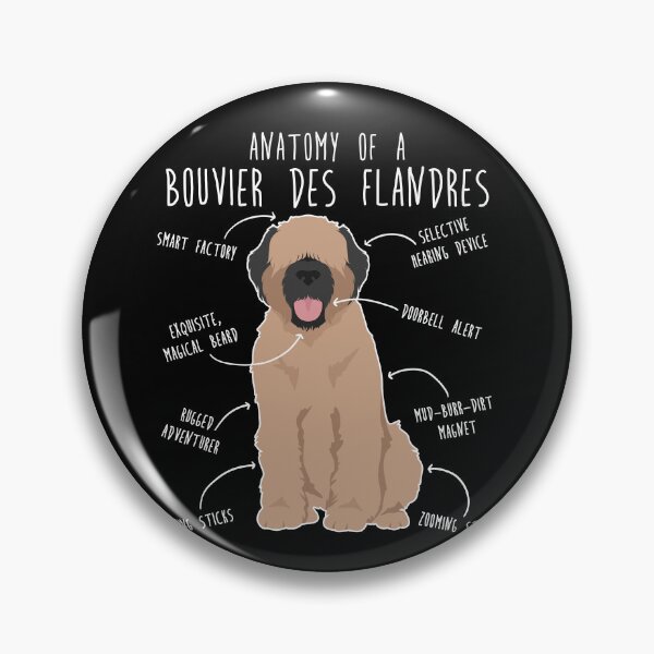 Item preview, Bouvier Des Flandres Fawn Cream Dog Anatomy designed and sold by Clara Hollins.
