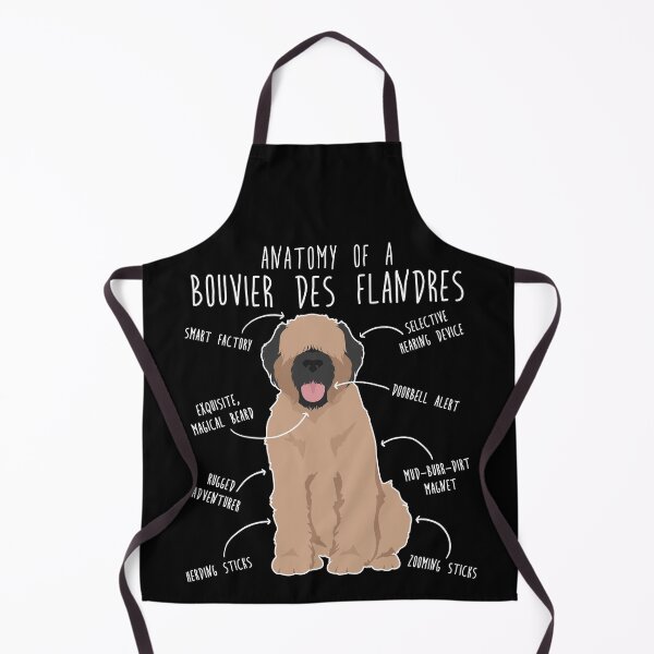 Item preview, Bouvier Des Flandres Fawn Cream Dog Anatomy designed and sold by Clara Hollins.