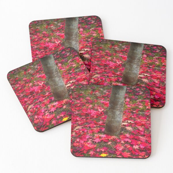 Item preview, Autumn leaves at Mount Wilson designed and sold by dags.