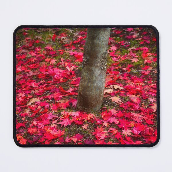 Item preview, Autumn leaves at Mount Wilson designed and sold by dags.