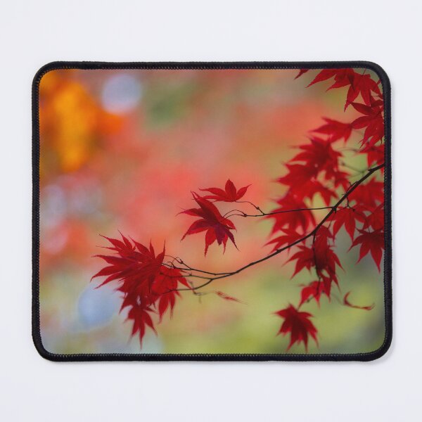 Item preview, Autumn leaves at Mount Wilson designed and sold by dags.