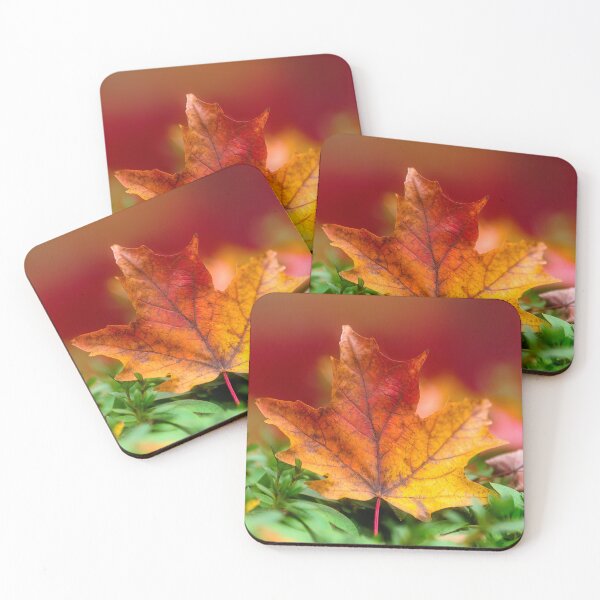 Item preview, Autumn leaves at Mount Wilson designed and sold by dags.