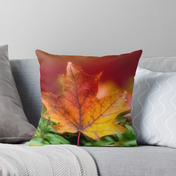 Item preview, Autumn leaves at Mount Wilson designed and sold by dags.