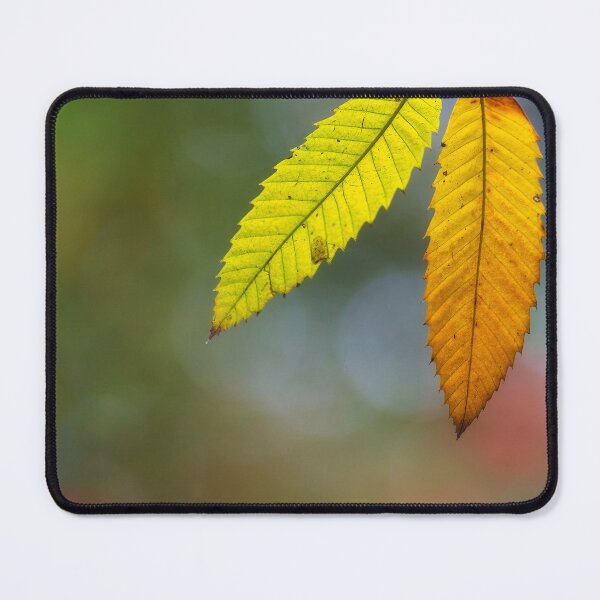 Item preview, Autumn leaves designed and sold by dags.