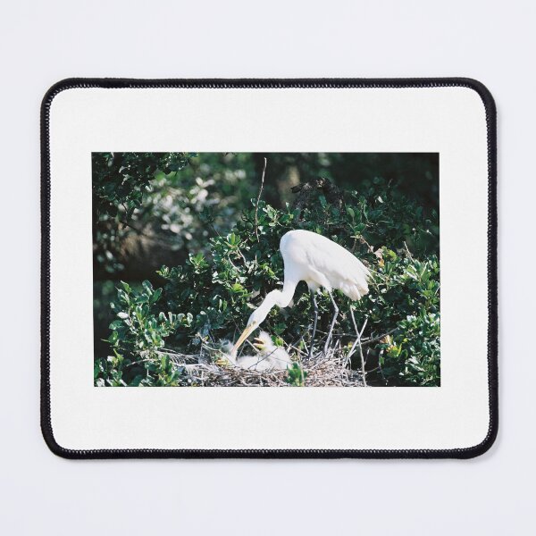 Item preview, White Crane with Babies designed and sold by LifExtroardinar.
