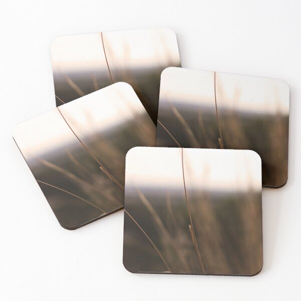 Item preview, Focus designed and sold by albaboschphoto.