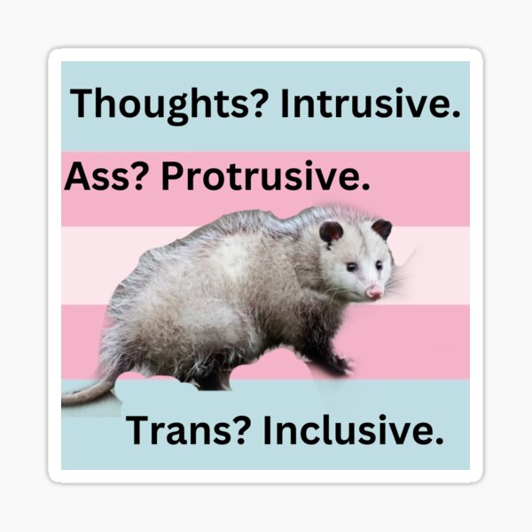 Item preview, Funny Trans Rights Opossum  designed and sold by Silly Goose Emporium.