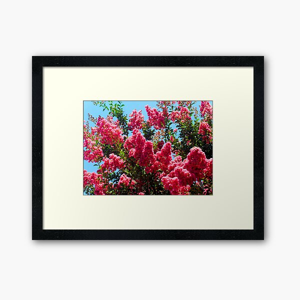 Item preview, Pink Crape Myrtle Flowers Photograph designed and sold by ArtVixen.