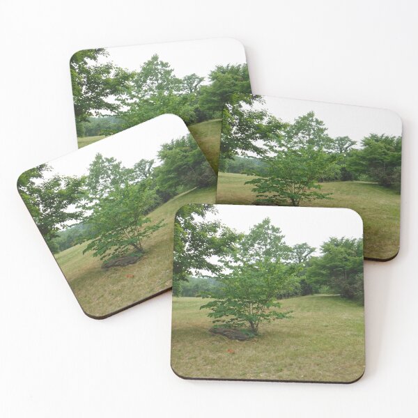 Item preview, Field designed and sold by GloriaGranat.