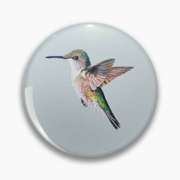 Item preview, Female Ruby Throated Hummingbird Drawing (no background) designed and sold by Emily Bickell.