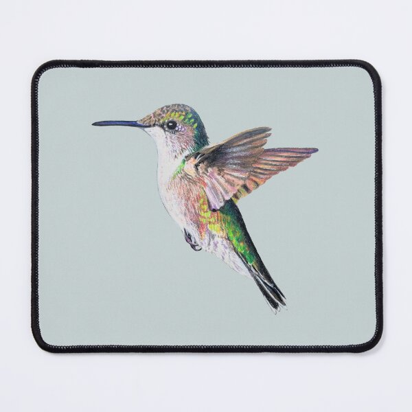 Item preview, Female Ruby Throated Hummingbird Drawing (no background) designed and sold by Emily Bickell.