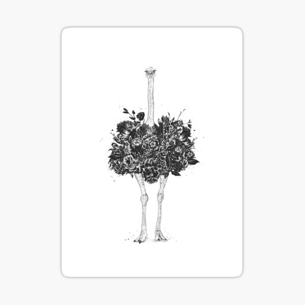 Aperçu de l'œuvre Autruche florale créée et vendue par soltib.