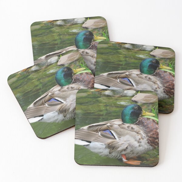 Item preview, Colorful Duck, Lower Manhattan, New York City designed and sold by lenspiro.