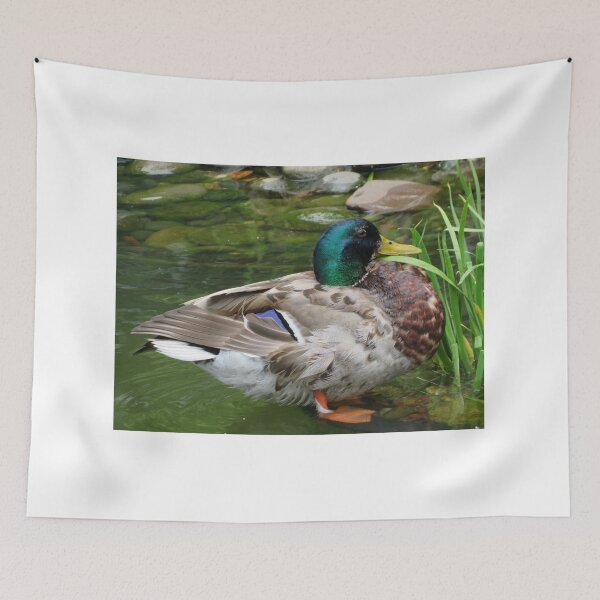 Item preview, Colorful Duck, Lower Manhattan, New York City designed and sold by lenspiro.