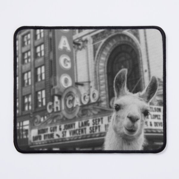 Item preview, Chicago Llama designed and sold by santiagocamer.