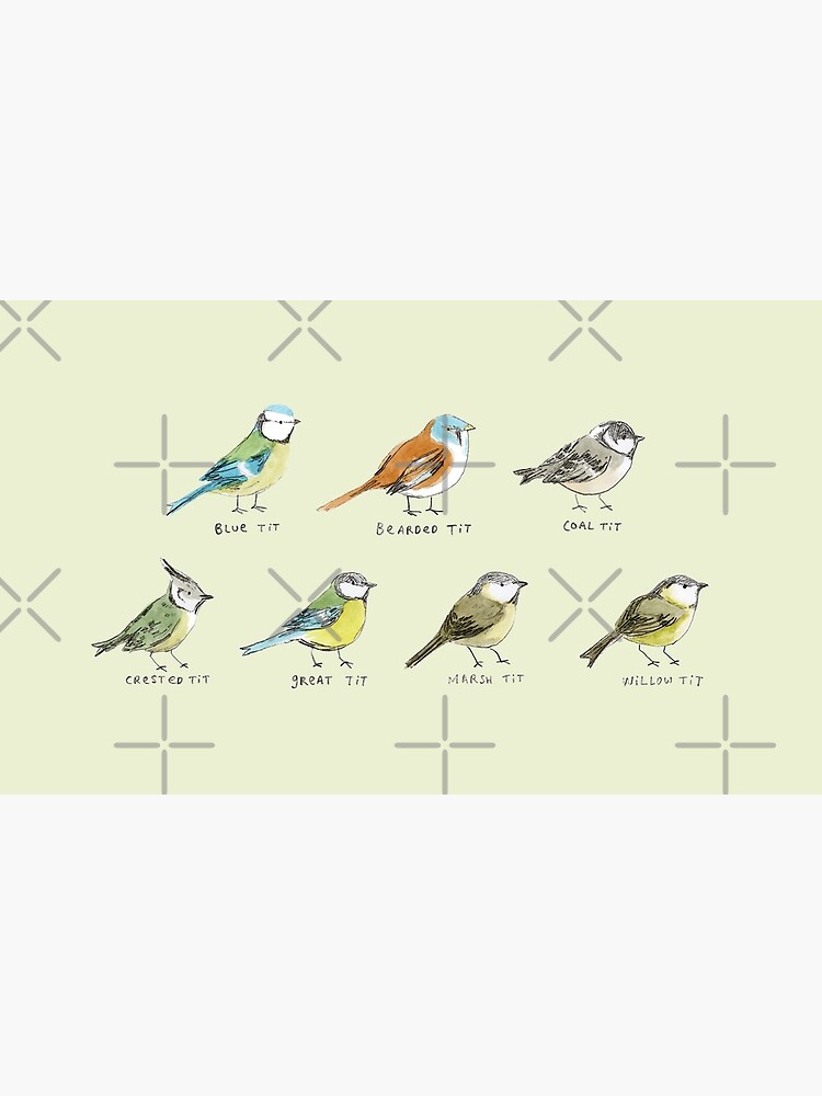 The Tit Family by SophieCorrigan