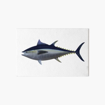 Salt Water Bluefin Tuna Big Game Fishing Patent Poster Art Print 11x14  Reels Poles Rods Wall Decor Pictures