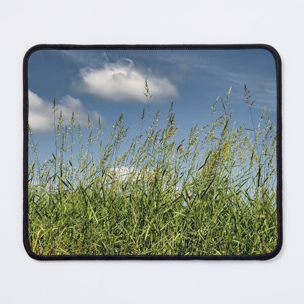 Item preview, The Green Curtain designed and sold by Steve Walser.