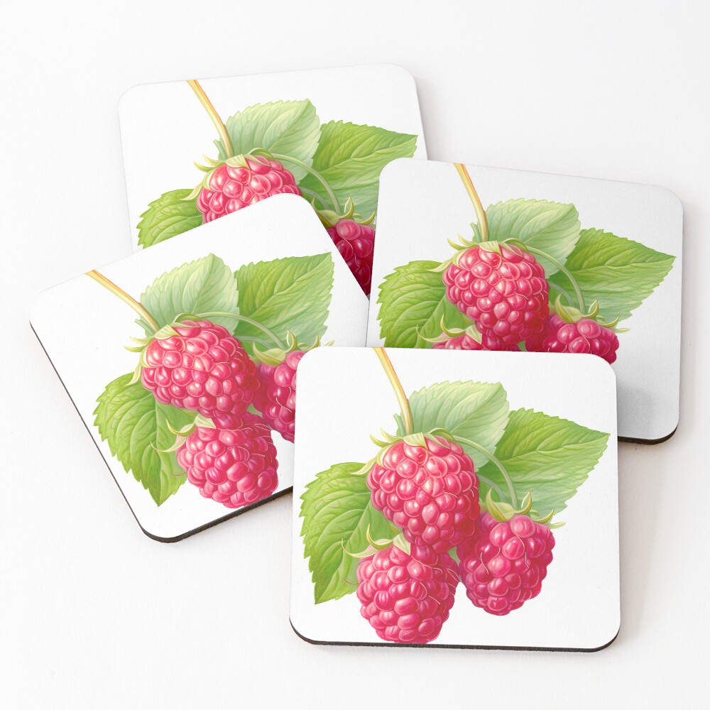 Item preview, Coasters (Set of 4) designed and sold by Baart72.