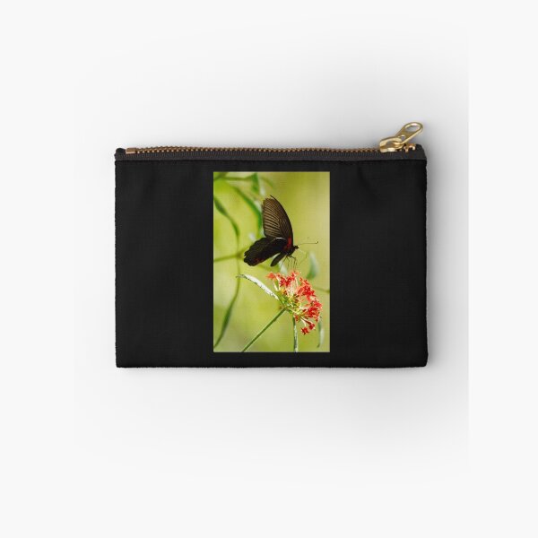 Item preview, Black Swallowtail Butterfly designed and sold by Marylou Badeaux.