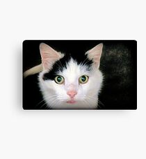 Olaf Canvas Print