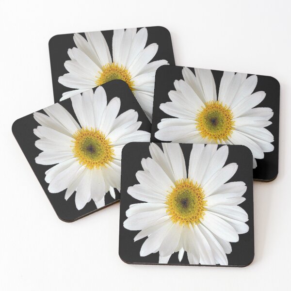 Item preview, Naturaleza, white sunflower designed and sold by fradesfarbasu.