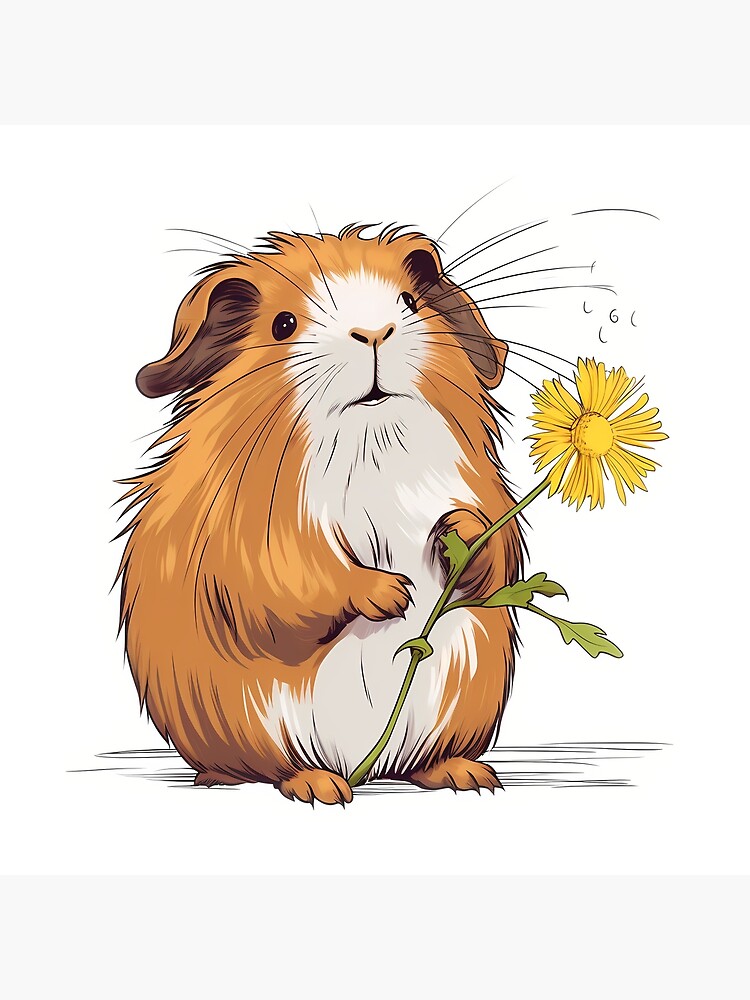 Guinea pig outlet dandelion