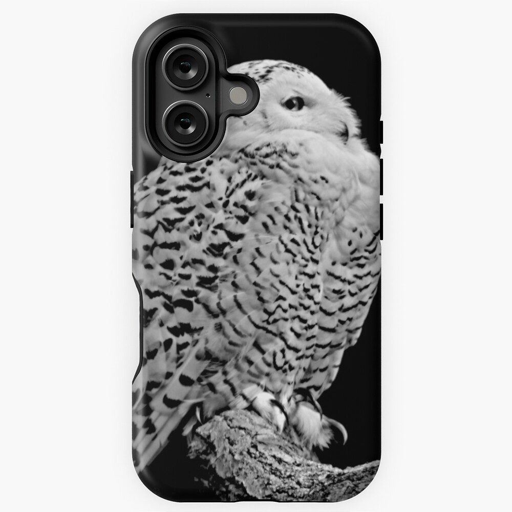 Item preview, iPhone Magsafe Tough Case designed and sold by ScenicViewPics.