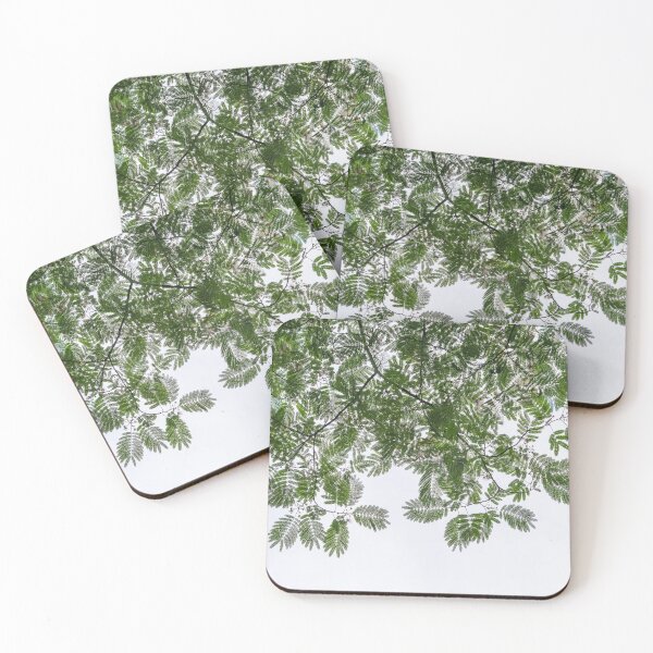 Item preview, Delicate Lace in the Sky - Gossamer Mimosa Leaves and Flower Puffs designed and sold by Georgia Mizuleva.