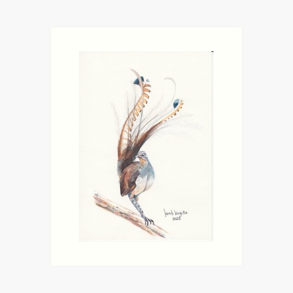 Item preview, Australian Lyrebird designed and sold by kerstibirgitta.