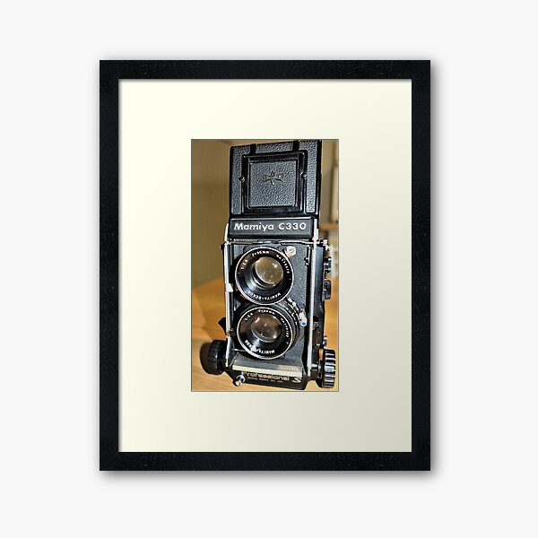 Item preview, workhorse designed and sold by bertipictures.