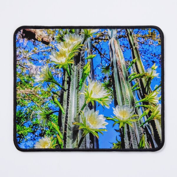 Item preview, Blooming cactus giant designed and sold by ColderDesignLab.
