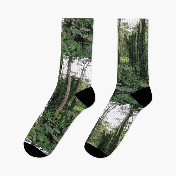 Item preview, Manoa Falls Wooded Garden Path designed and sold by KanuteSeithr.