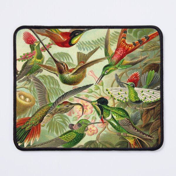 Item preview, Colibri - Ernst Haeckel designed and sold by billythekidtees.