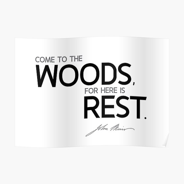 come to the woods - john muir Poster