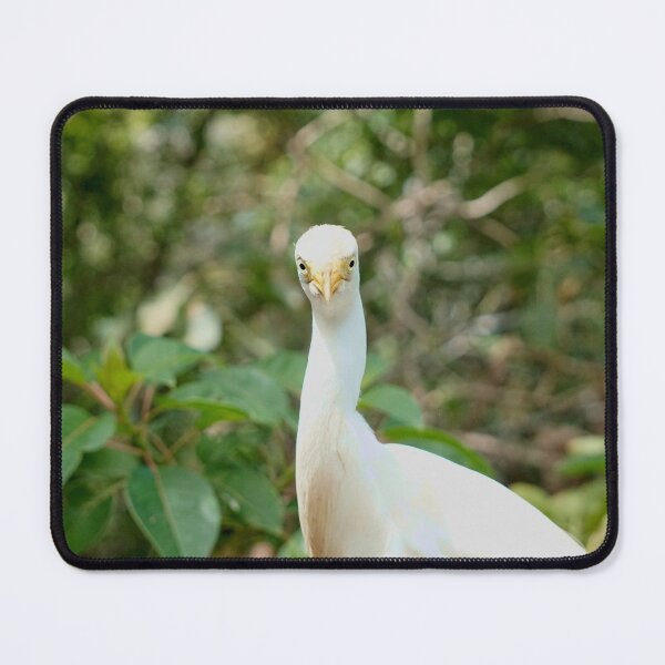 Item preview, Cattle Egret designed and sold by Nicole Gath.