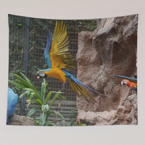 Item preview, Loros guacamayos designed and sold by Nicole Gath.