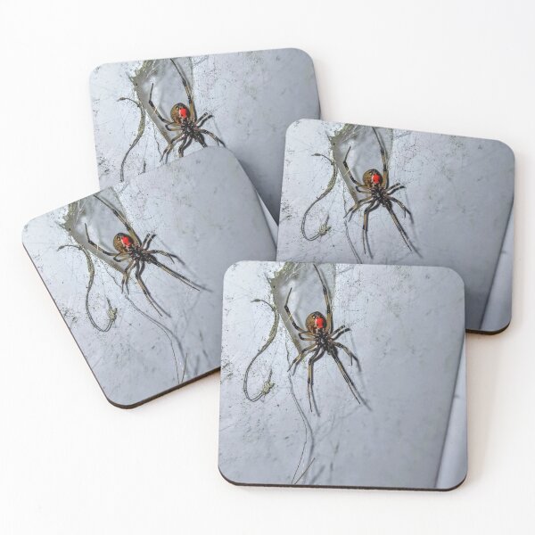 Item preview, Brown widow  designed and sold by ColderDesignLab.