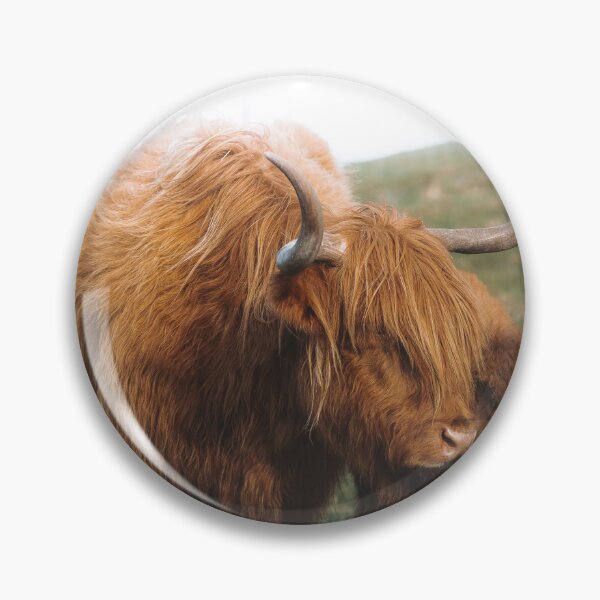 Item preview, A Highland Bond designed and sold by thevalentine.