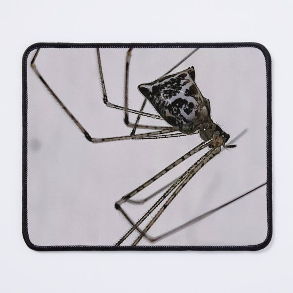 Item preview, Marbled cellar spider designed and sold by ColderDesignLab.