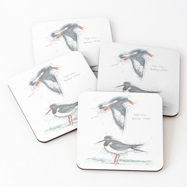Item preview, Oystercatcher bird study. designed and sold by DebTheZeb.
