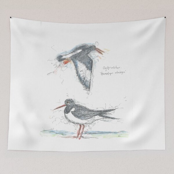 Item preview, Oystercatcher bird study. designed and sold by DebTheZeb.