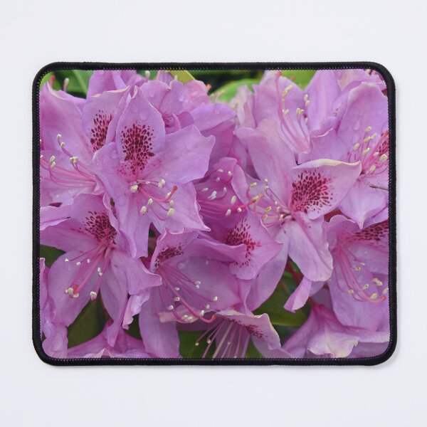 Item preview, Purple Azalea designed and sold by bertsworks300.