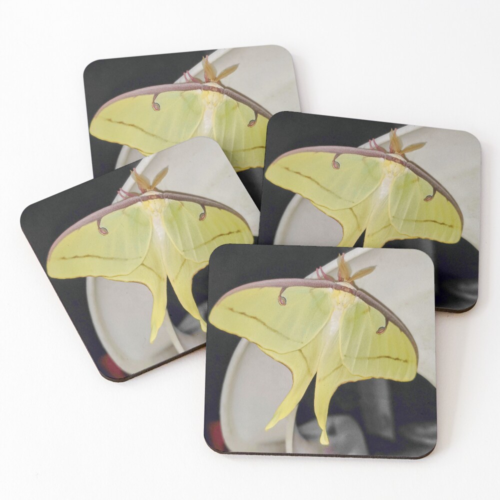 Item preview, Coasters (Set of 4) designed and sold by ColderDesignLab.