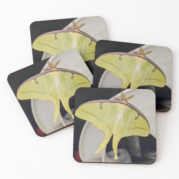 Item preview, Luna Moth designed and sold by ColderDesignLab.